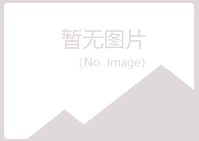 博湖县冰夏音乐有限公司